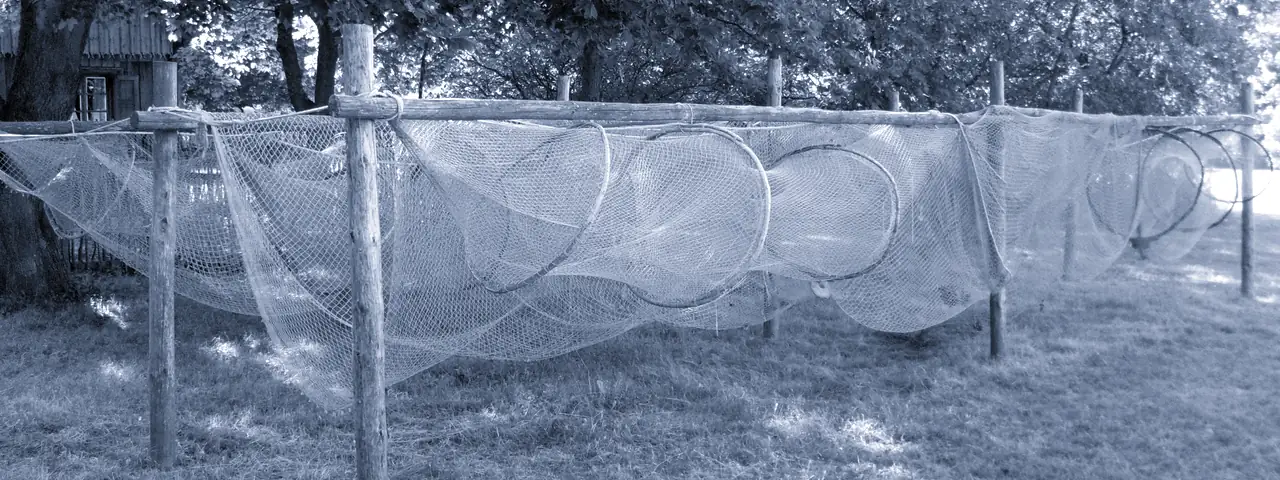 Ištempti žvejybos tinklai ant medinių stovų pievoje